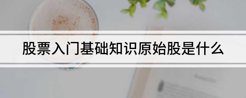 原始股风险与价值_原始股发行对象_原始股上市