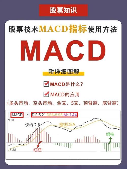 季度MACD金叉选股公式详解及应用指南，附指标公式源码