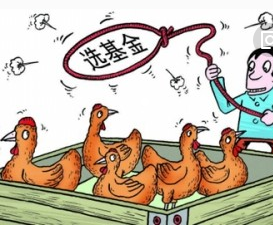 股市震荡下基金成股民新选择，如何选基金理财你知道吗？