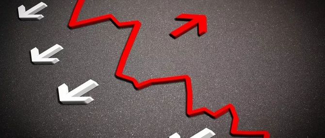 蚂蚁说成长, 理财小白学选择基金的四个步骤