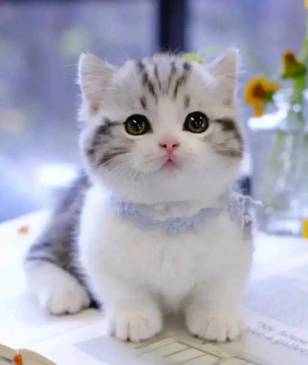 道德行为规范_十大道德行为_道德行为习惯