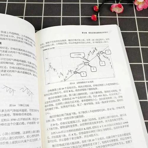 期货市场入门与进阶指南：基础知识、分析及风险管理要点