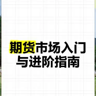 期货入门 pdf_期货市场入门指南_期货交易风险管理