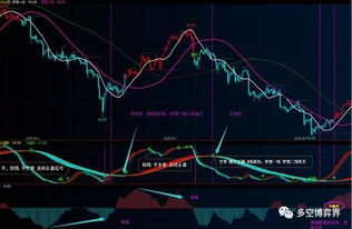 富途牛牛恒指期货软件_恒指期货看盘软件推荐_恒指期货实时行情软件