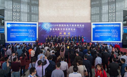 中电国际电子商务平台_2015中国国际电子商务博览会_电商换市全球机遇