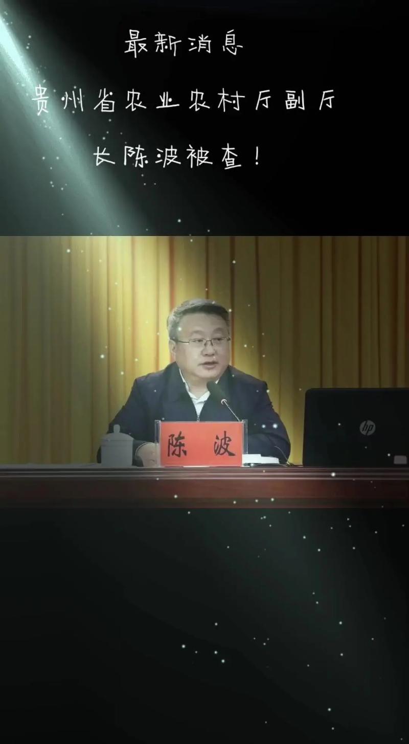 全职炒股风险_网贷炒股亏损_2025年手机炒股软件最好板本