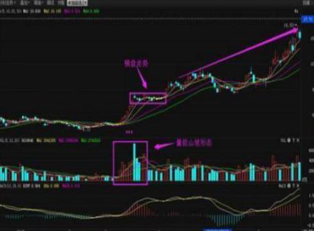 牛股起爆点指标公式_短线牛股特征_如何选择短线牛股