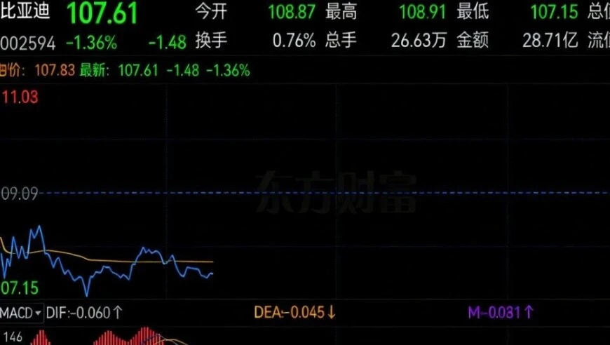 每股8港元的价格认购了2.25亿股比亚迪H股股份