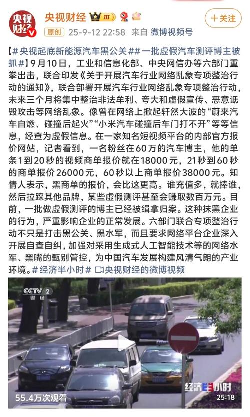 新能源汽车行业不正当竞争分析_新能源汽车黑公关黑水军乱象治理_公关行业赚钱多吗