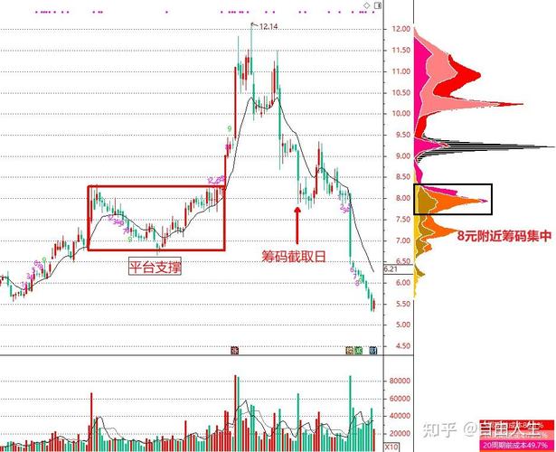 资金分析：主力净流入及持仓情况，技术面筹码成本与股价分析