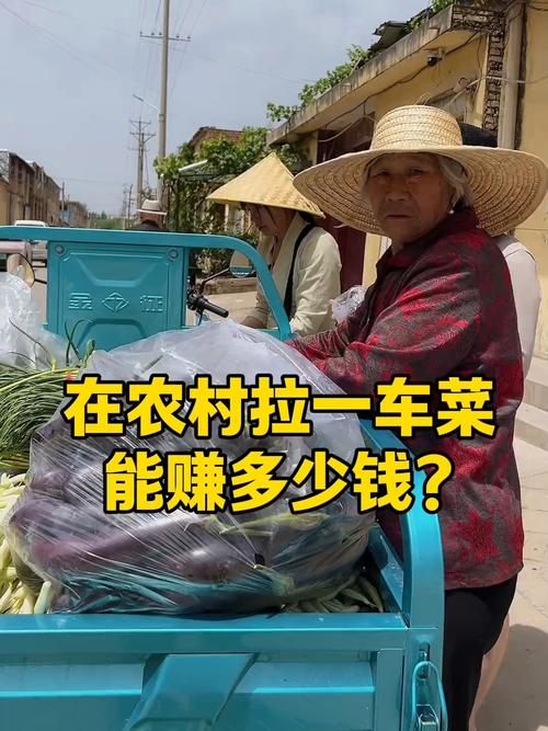 农村流动蔬菜销售_轻松赚钱小项目_农村运输建筑材料