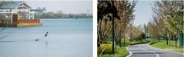 华特迪士尼 上海 有限公司_上海迪士尼度假区10周年庆典_上海迪士尼度假区破土动工历史