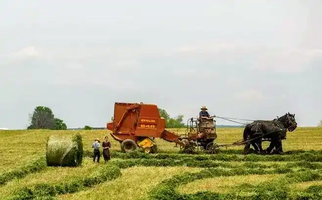 配资 越大投资_配资机构收益来源_股市配资操作方式