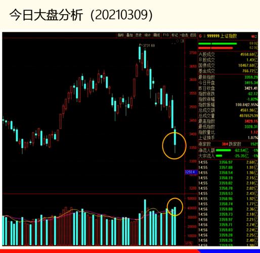 砸盘日先抑后扬_回踩已到位_homs 期货 股票