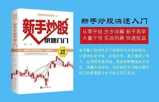 股票交易经验积累_新股民看盘实践技法_巴菲特投资思维盈利模式
