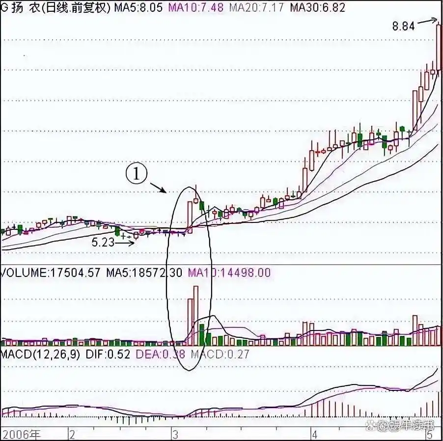 新股民看盘实践技法_交易亏损避免策略_止盈止损技巧