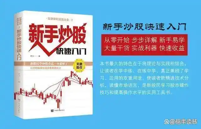 新股民看盘实践技法_交易亏损避免策略_止盈止损技巧