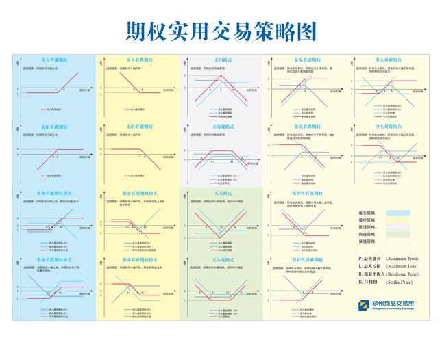 ADS期权交易风险管理_ADS股票期权策略_ads+股票+期权