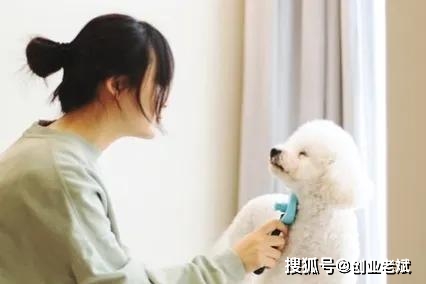 小本创业零风险项目_手工制作副业创业_未来小本赚钱诀窍