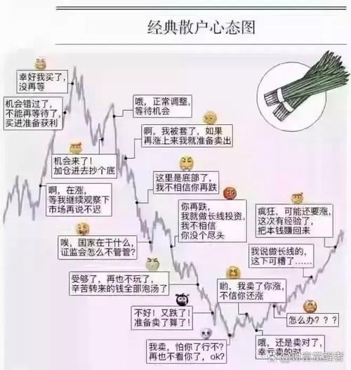 散户追涨杀跌原因_股民散户特性_A股散户行为特征