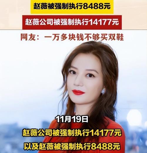 赵薇资本市场禁入_范爷赵薇炒股共亏40亿_赵薇上交所处罚