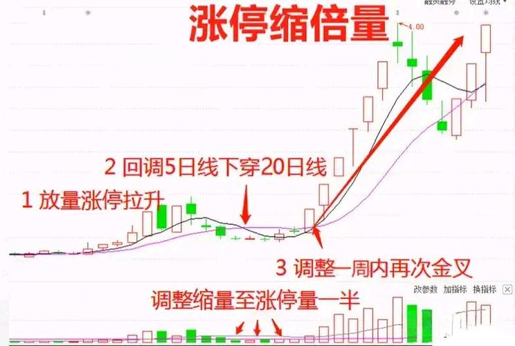 同大信历史涨停数据分析：揭示涨停背后的投资逻辑和策略洞察