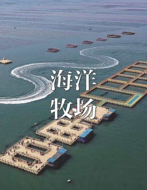 营口的海洋资源对生活有多大影响？