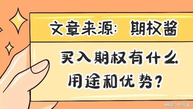 期权投机对冲策略_买入看跌期权最大的损失是_买入期权用途优势
