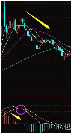 MACD指标应用原则_期货技术指标详解_红绿柱短线波段操作