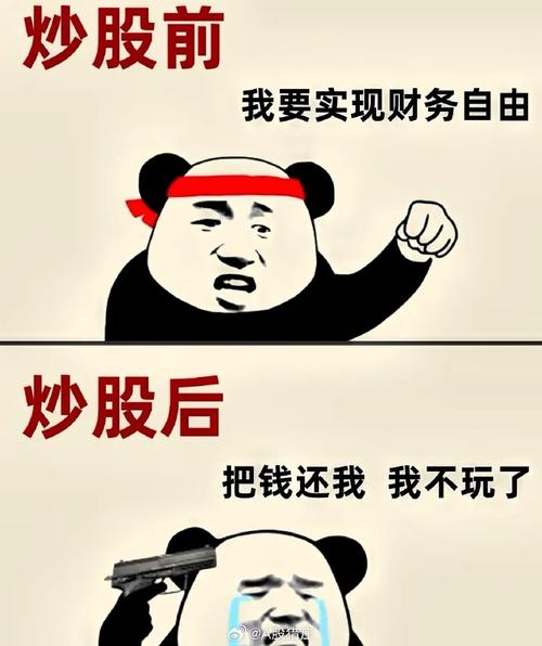 股民老张 股市大揭秘_5万本金极简策略稳赚_A股低频交易盈利路径