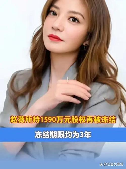 万家文化股份有限公司_万家集团终止股份转让协议_赵薇龙薇传媒股权交易解除