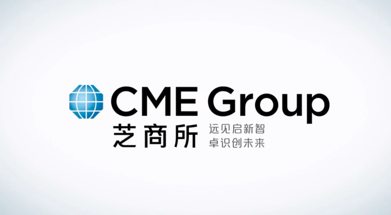 股票新手必看：股指期货是什么？适合你投资吗？